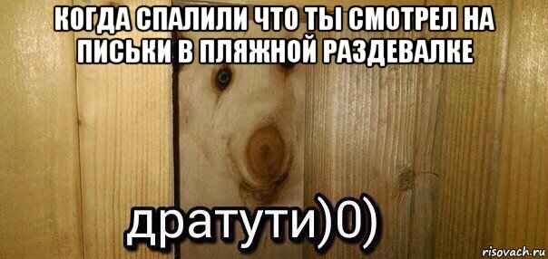 когда спалили что ты смотрел на письки в пляжной раздевалке , Мем  Дратути