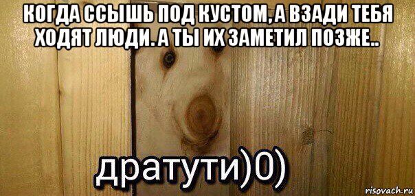 когда ссышь под кустом, а взади тебя ходят люди. а ты их заметил позже.. , Мем  Дратути