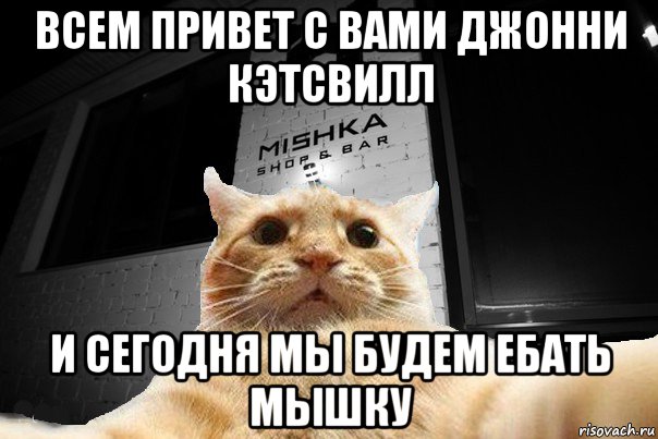 всем привет с вами джонни кэтсвилл и сегодня мы будем ебать мышку, Мем   Джонни Кэтсвилл