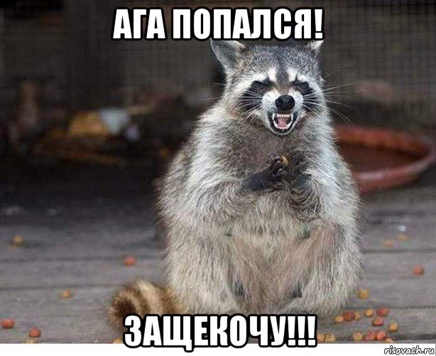 ага попался! защекочу!!!, Мем Енот злой