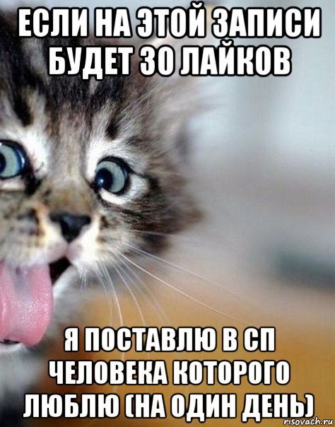 если на этой записи будет 30 лайков я поставлю в сп человека которого люблю (на один день)