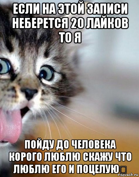 если на этой записи неберется 20 лайков то я пойду до человека корого люблю скажу что люблю его и поцелую♡