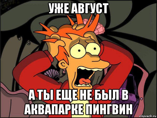 уже август а ты еще не был в аквапарке пингвин, Мем Фрай в панике