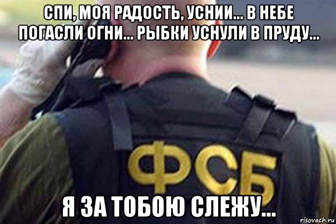 спи, моя радость, уснии... в небе погасли огни... рыбки уснули в пруду... я за тобою слежу...