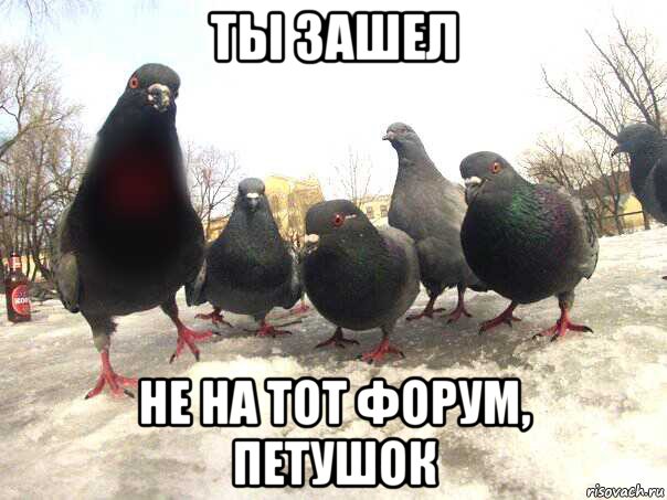 ты зашел не на тот форум, петушок