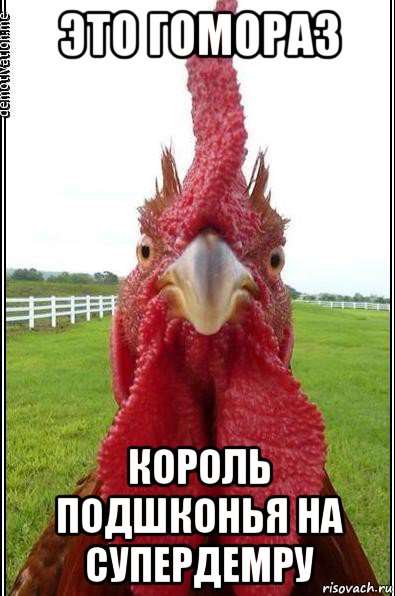это гомораз король подшконья на супердемру
