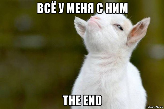 всё у меня с ним the end, Мем  Гордый козленок