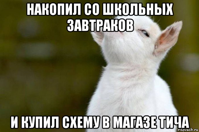 накопил со школьных завтраков и купил схему в магазе тича, Мем  Гордый козленок