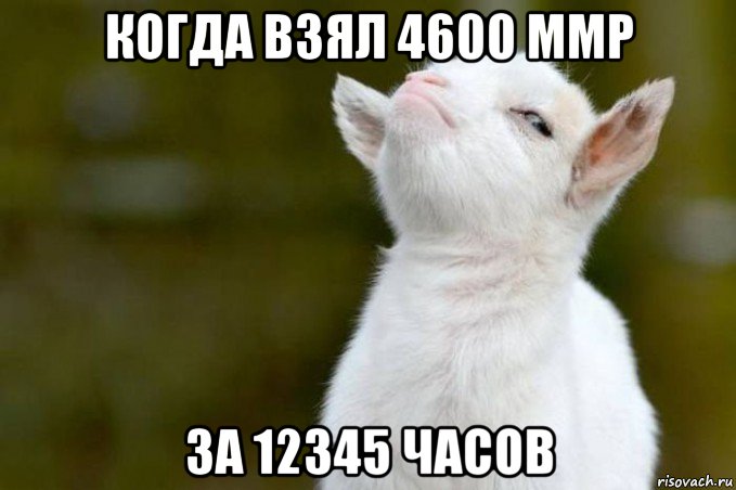 когда взял 4600 ммр за 12345 часов, Мем  Гордый козленок