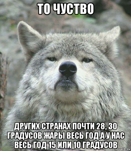 то чуство других странах почти 28, 30 градусов жары весь год.а у нас весь год 15 или 10 градусов, Мем    Гордый волк