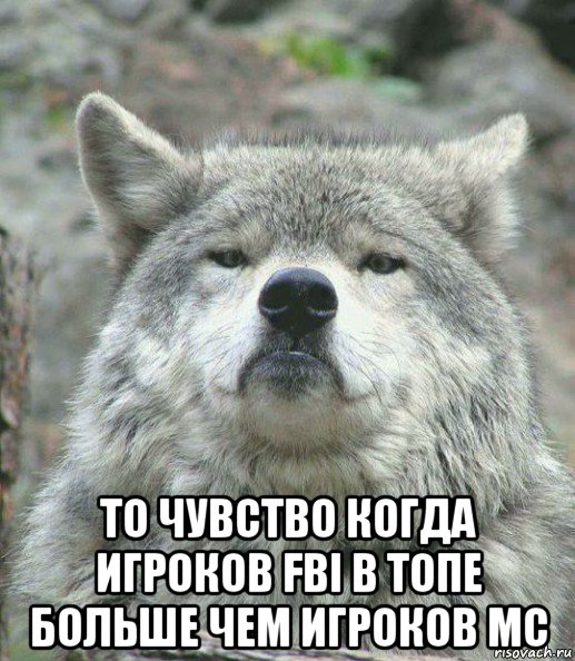  то чувство когда игроков fbi в топе больше чем игроков мс, Мем    Гордый волк