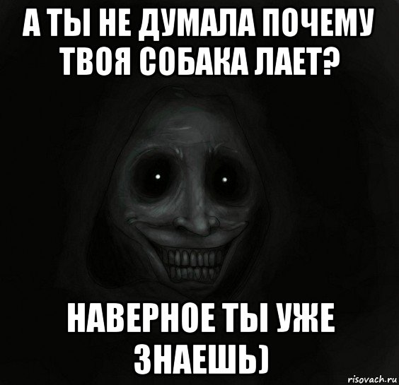 а ты не думала почему твоя собака лает? наверное ты уже знаешь), Мем Ночной гость