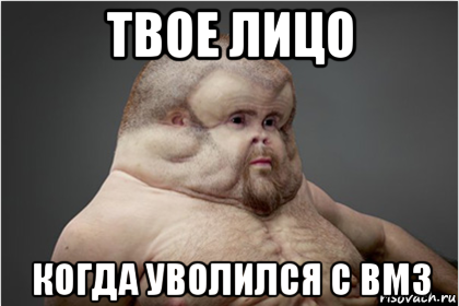 твое лицо когда уволился с вмз