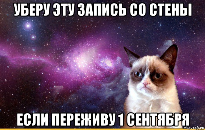 уберу эту запись со стены если переживу 1 сентября, Мем grumpy cat космос