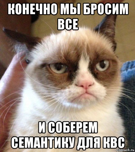 конечно мы бросим все и соберем семантику для квс