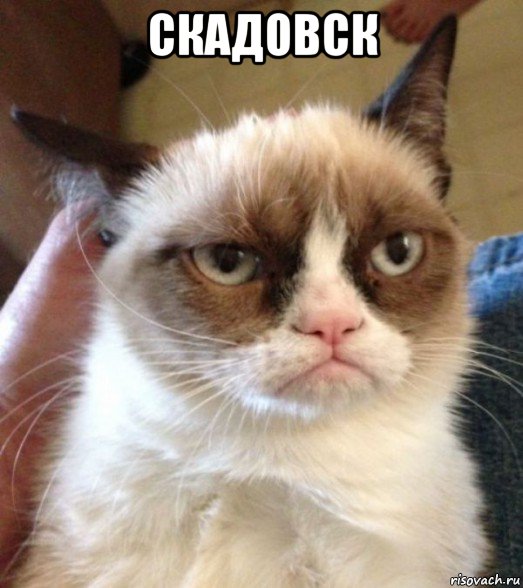 скадовск 