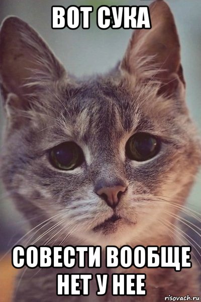 вот сука совести вообще нет у нее