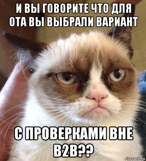 и вы говорите что для ота вы выбрали вариант с проверками вне в2в??, Мем Грустный (сварливый) кот