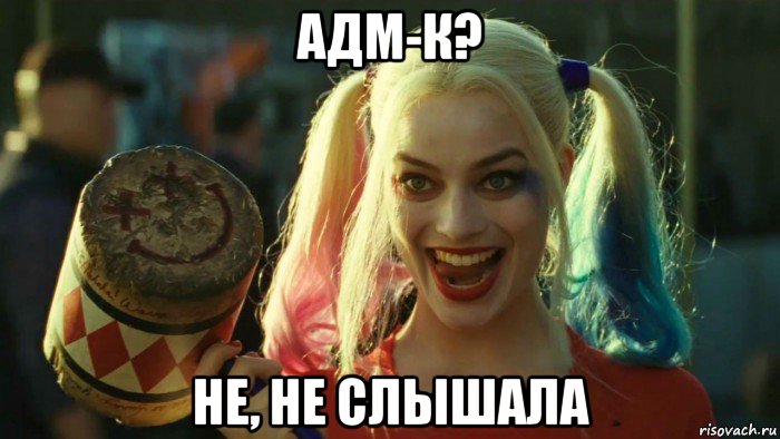 адм-к? не, не слышала, Мем    Harley quinn