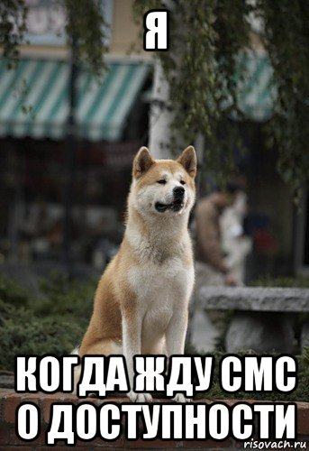 я когда жду смс о доступности, Мем хатик