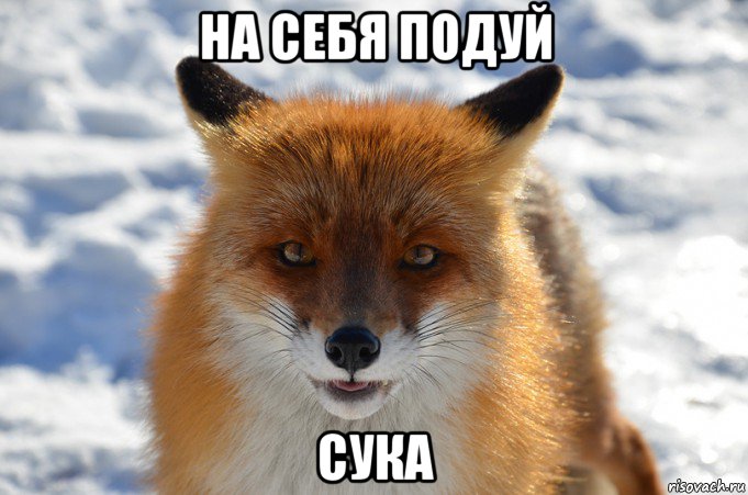 на себя подуй сука