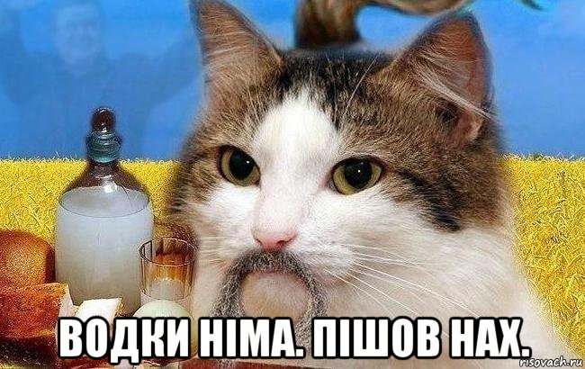  водки нiма. пiшов нах.