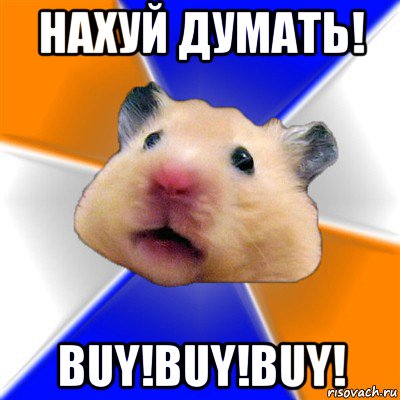 нахуй думать! buy!buy!buy!, Мем Хомяк