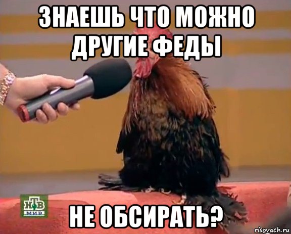 знаешь что можно другие феды не обсирать?