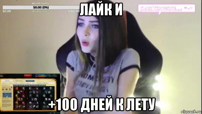 лайк и +100 дней к лету, Мем Карина стримерша