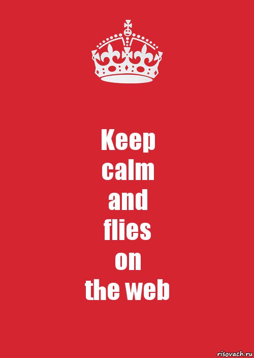 Keep
calm
and
flies
on
the web, Комикс Keep Calm 3