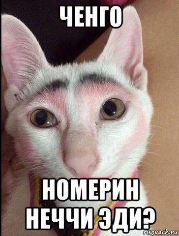ченго номерин неччи эди?