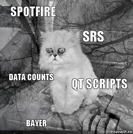 Spotfire QT Scripts SRS Bayer Data counts     , Комикс  кот безысходность