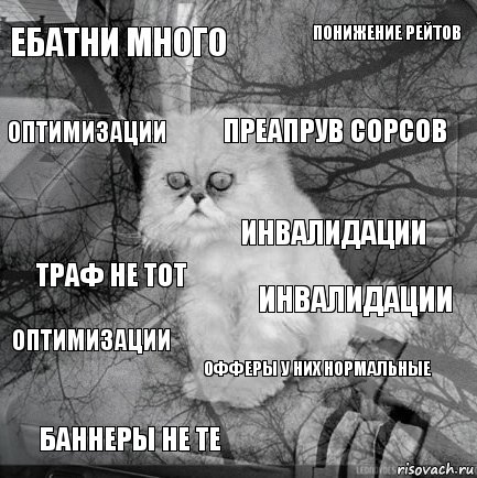 ебатни много инвалидации преапрув сорсов баннеры не те траф не тот понижение рейтов офферы у них нормальные оптимизации оптимизации инвалидации, Комикс  кот безысходность