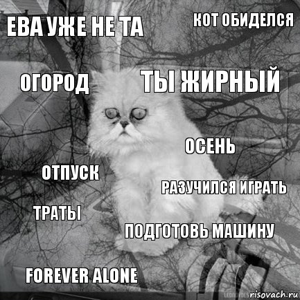 ЕВА уже не та разучился играть ты жирный forever alone отпуск кот обиделся подготовь машину огород траты осень, Комикс  кот безысходность