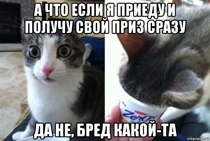 а что если я приеду и получу свой приз сразу да не, бред какой-та, Мем Кот да не бред какой то