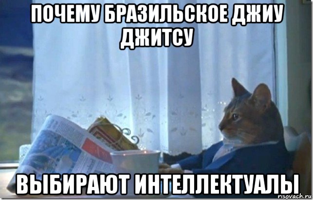 почему бразильское джиу джитсу выбирают интеллектуалы