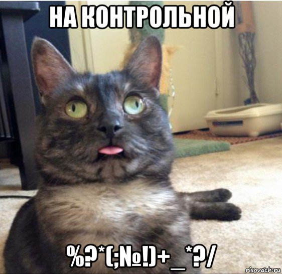 на контрольной %?*(;№!)+_*?/, Мем   Кот завис