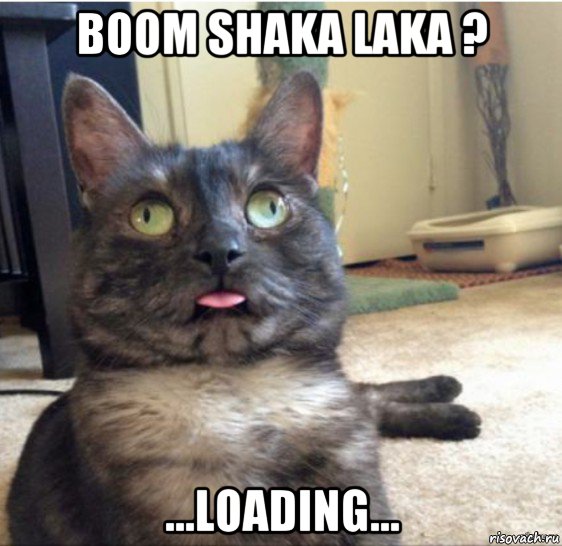 boom shaka laka ? ...loading..., Мем   Кот завис