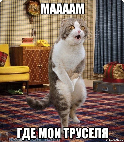 маааам где мои труселя