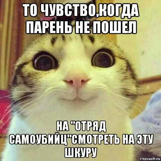 то чувство,когда парень не пошел на "отряд самоубийц"смотреть на эту шкуру, Мем       Котяка-улыбака