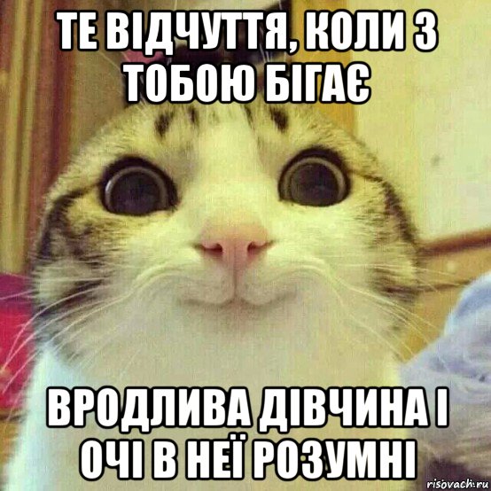 те відчуття, коли з тобою бігає вродлива дівчина і очі в неї розумні, Мем       Котяка-улыбака