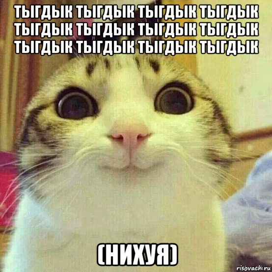 тыгдык тыгдык тыгдык тыгдык тыгдык тыгдык тыгдык тыгдык тыгдык тыгдык тыгдык тыгдык (нихуя), Мем       Котяка-улыбака