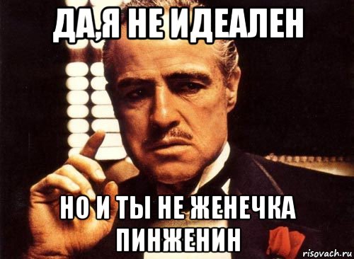 да,я не идеален но и ты не женечка пинженин, Мем крестный отец