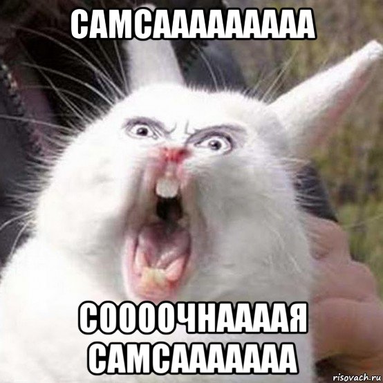 самсааааааааа соооочнаааая самсааааааа