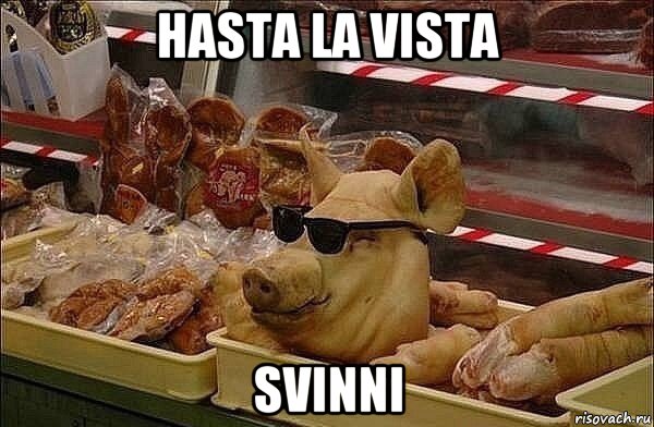 hasta la vista svinni, Мем Крутая свинья