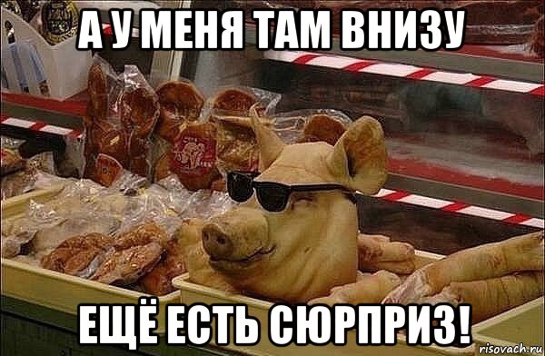 а у меня там внизу ещё есть сюрприз!, Мем Крутая свинья
