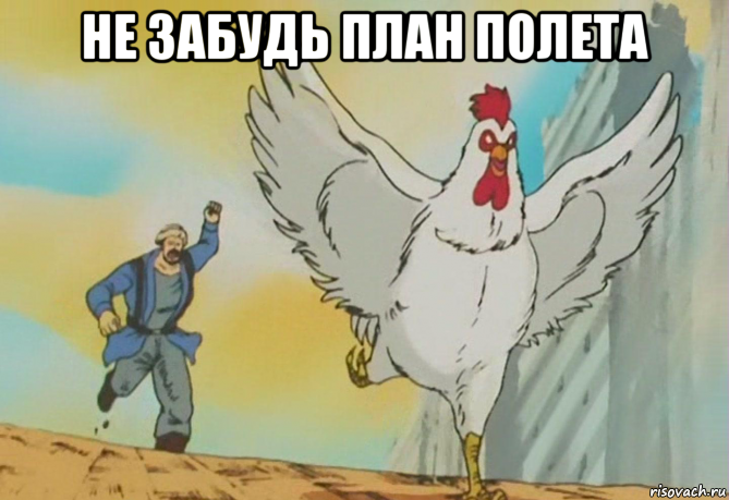 не забудь план полета , Мем Кто-нибудь помогите поймать петуха