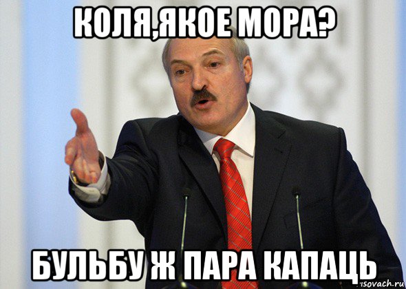 коля,якое мора? бульбу ж пара капаць, Мем лукашенко