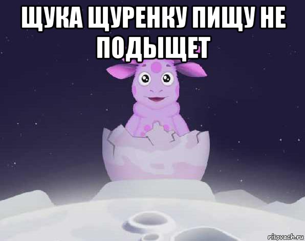 щука щуренку пищу не подыщет 