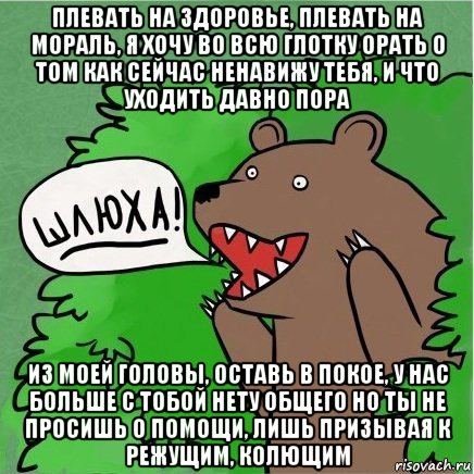 плевать на здоровье, плевать на мораль, я хочу во всю глотку орать о том как сейчас ненавижу тебя, и что уходить давно пора из моей головы, оставь в покое, у нас больше с тобой нету общего но ты не просишь о помощи, лишь призывая к режущим, колющим, Мем Медведь в кустах